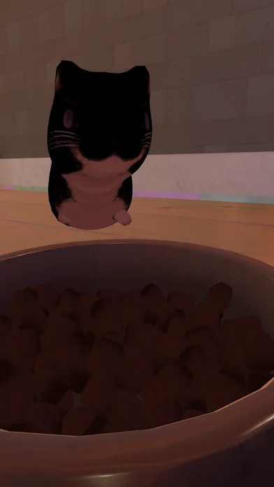 きょうのごはん！