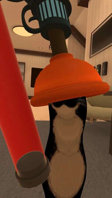 じゃっくっくがみられるところ