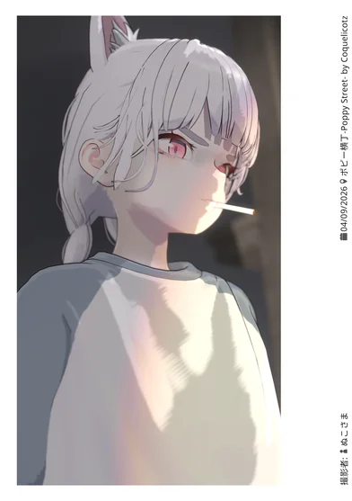 野生のフォトグラファー撮影
