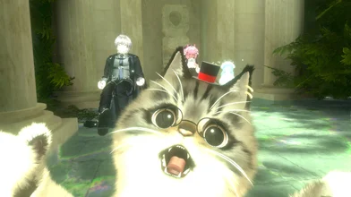 ネコを崇めよ