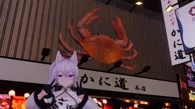 8月の写真
