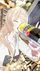 xあざらしーるx