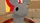 びんびん