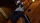 daichi_box