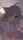 くうか