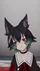 cheSHnEKo